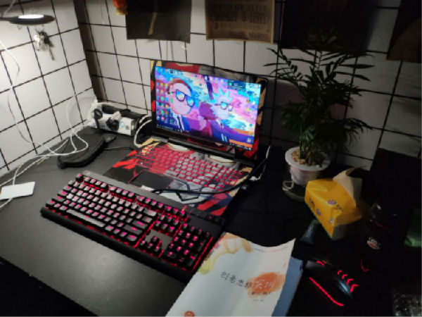 2.jpg